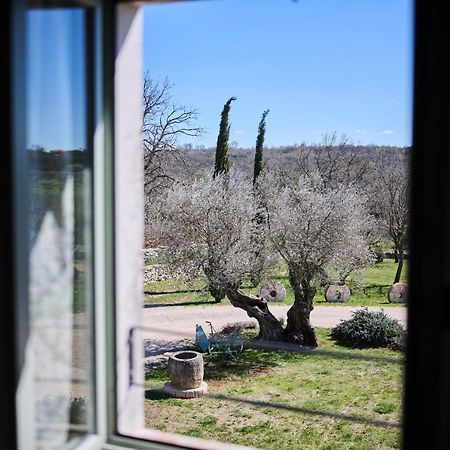 Winery Cuj Bed & Breakfast Vilanija Esterno foto