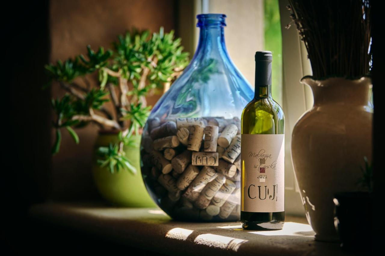 Winery Cuj Bed & Breakfast Vilanija Esterno foto